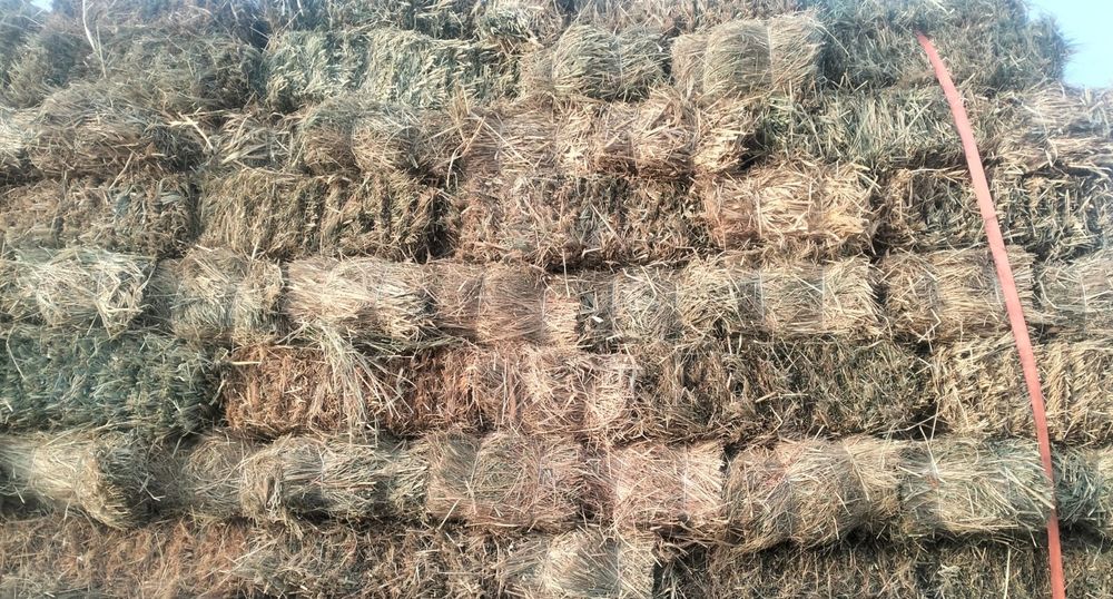 Продам сено с доставкой сено тюках