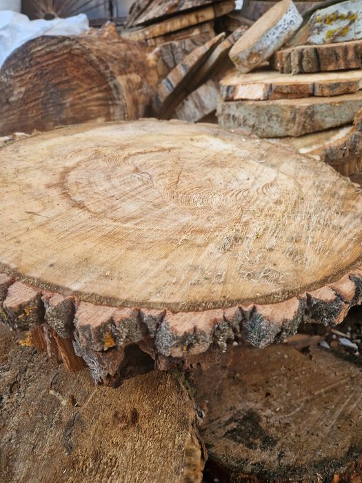 Продам спилы деревьев