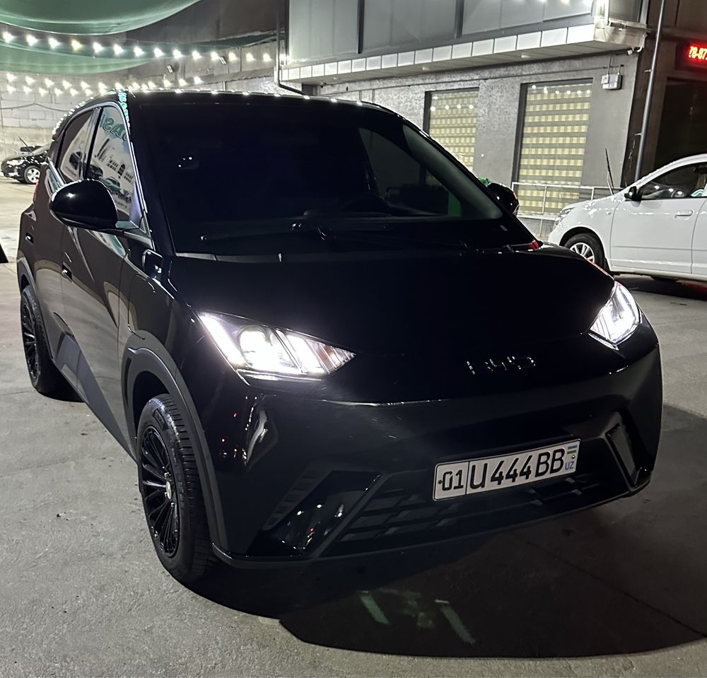 Byd Seagull qora kraska toza