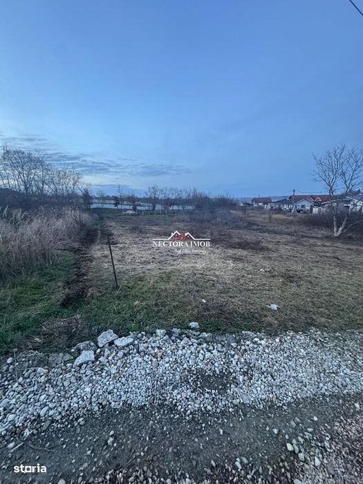 NECTORA IMOB-Teren Intravilan 647 mp, Dublu Front, Paleu, cu Utilitati