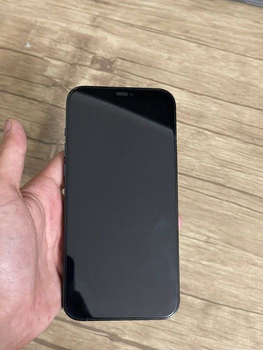 iPhone 12 pro max
