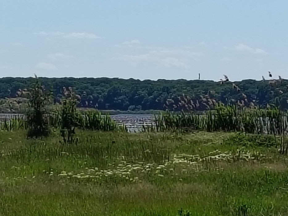 Teren intravilan Snagov priveliște lac 500 mp 140 m lac 31Emp fără TVA