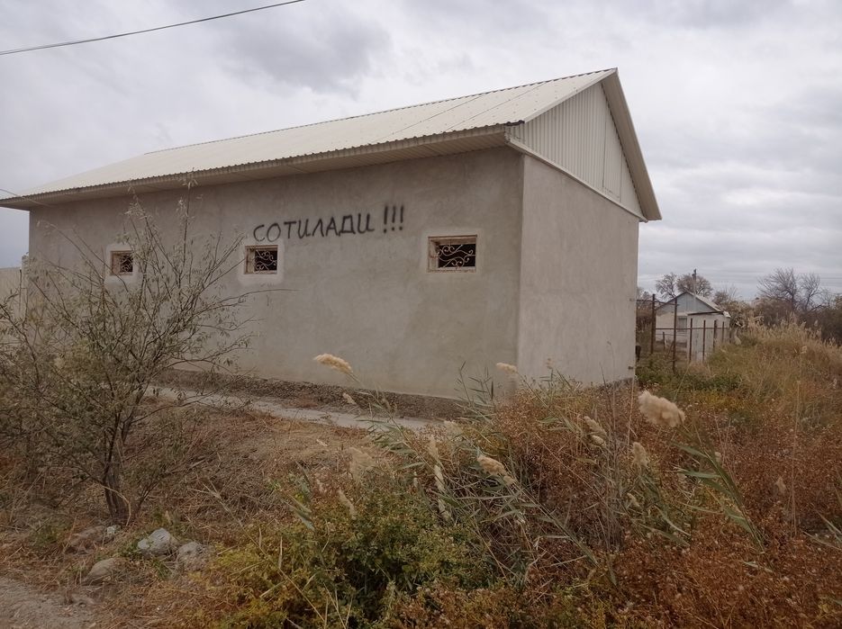 Дача маданият дачалари