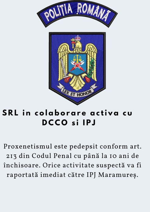 Regim Hotelier zona Vivo