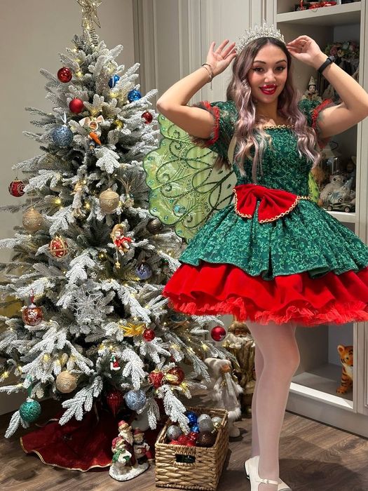 Дед Мороз. Снегурочка. Аниматоры. Новый год