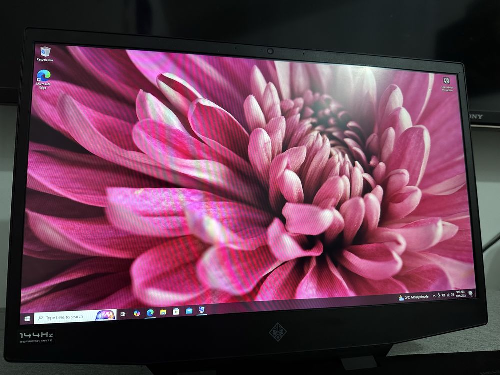 Laptop Gaming HP OMEN 17 300hz
