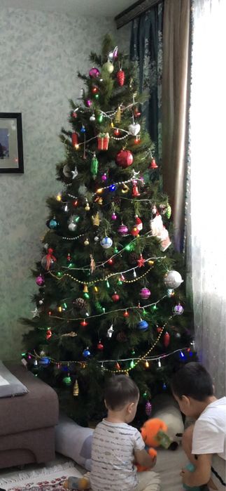 Новогодняя елка расборная