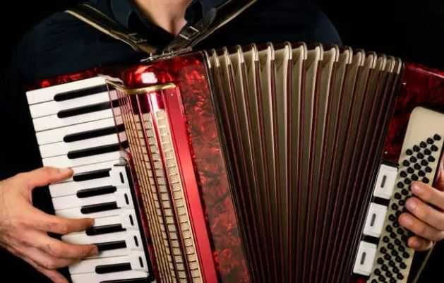 Acordeonist Petrecere-Botez-Nunta Tecuci-Galati-Vrancea