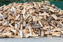 Lemne de foc uscate – Fag, Stejar, Carpen – Livrare rapidă