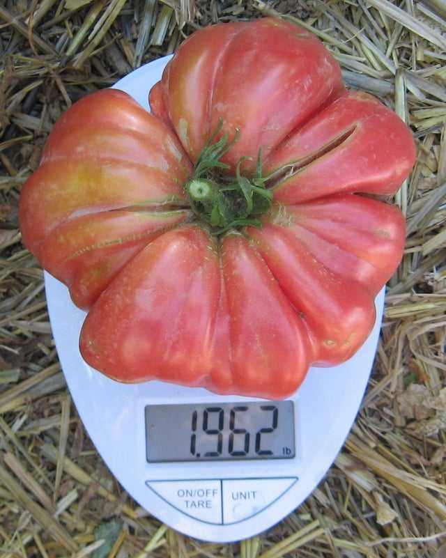 Belmonte.1kg-uneori si 2kg