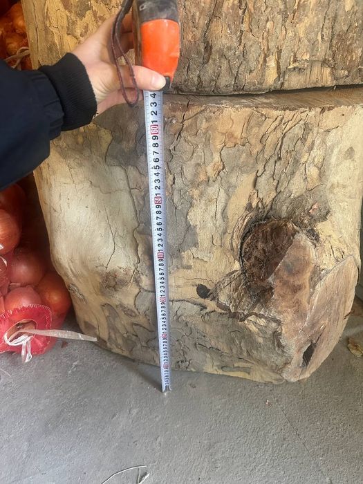 To'nka sotiladi yong'oqniki