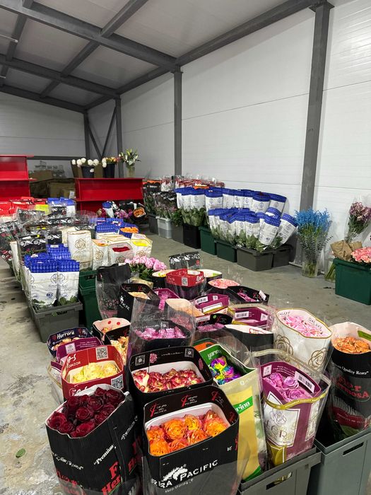 Розы по 350 тг — Цены как в Чёрную Пятницу Круглый Год