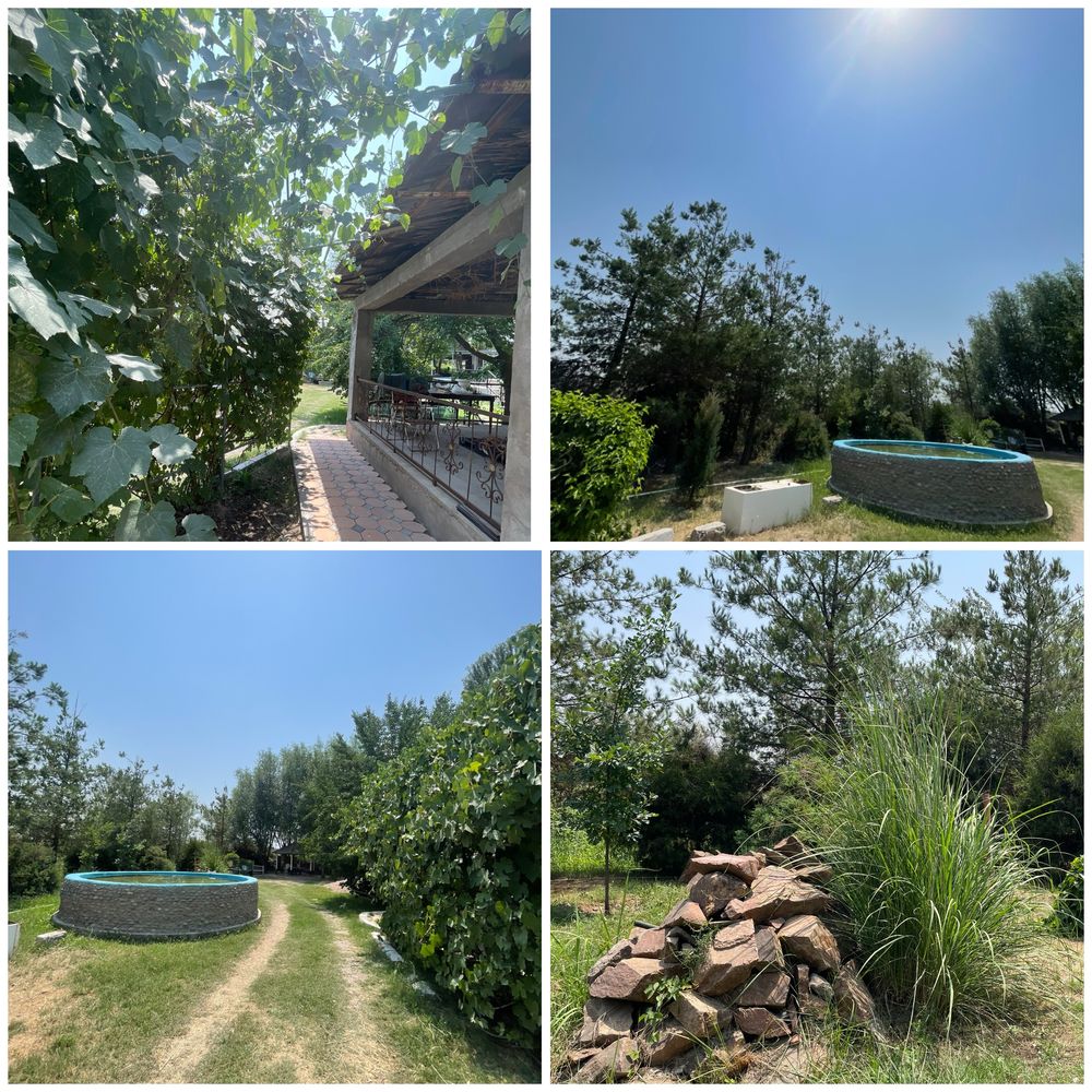 Dacha sutochnaya arenda
