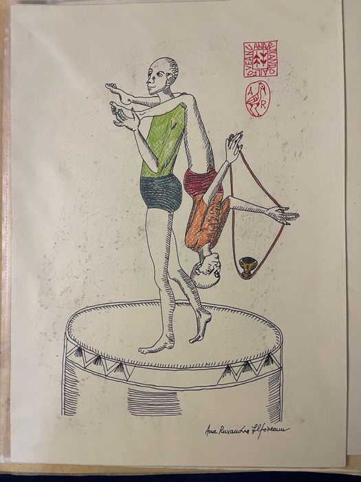 Ana Ruxandra Ilfoveanu