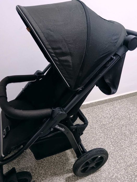 Vand carut de la Lionelo