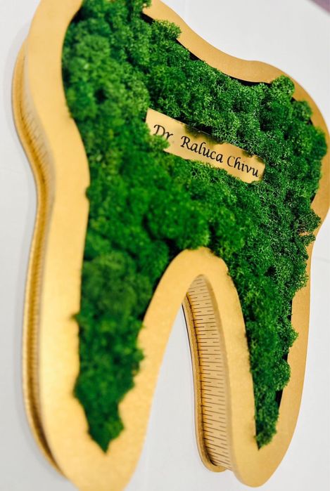 Decorațiune masea/ Molar cu licheni pentru Cabinete Stomatologice