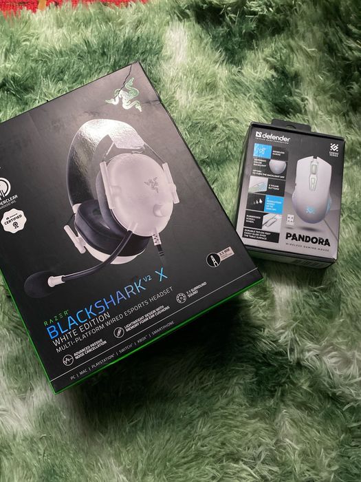 Наушники и мышка