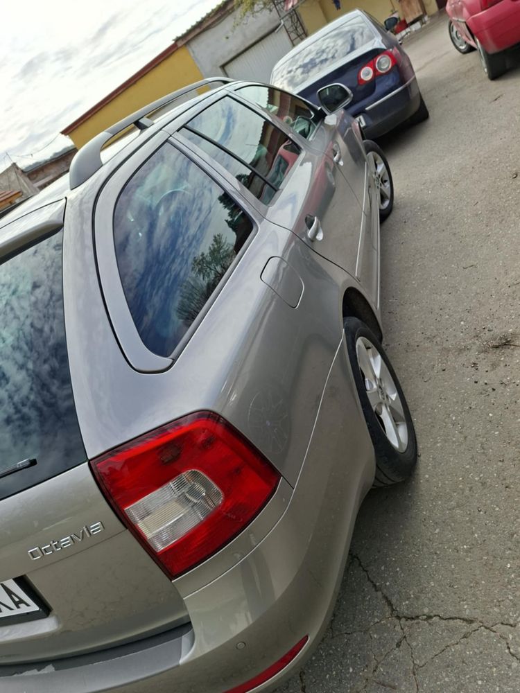 Vand Skoda Octavia