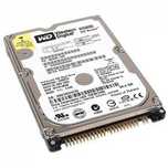Hard 2,5" IDE ATA PATA Hdd 80 GB Interfata Mufa Laptop navigatie Auto