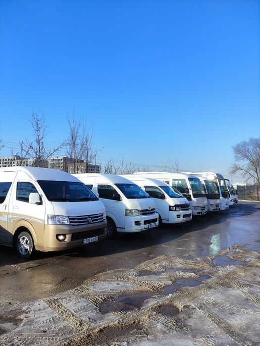 Автобусы, микроавтобусы, легковые аренда с водителем