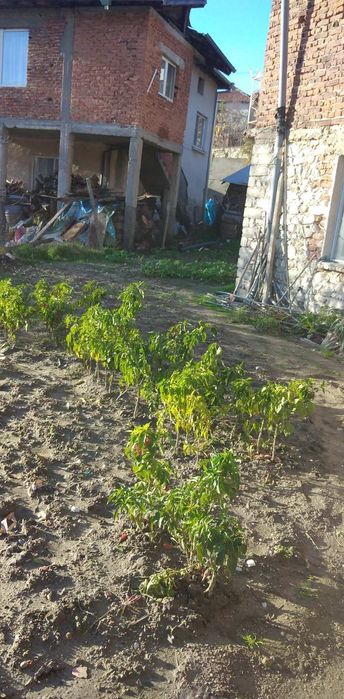 Продавам къща в едно от най-интересните и красиви села в Пиринско – Ил