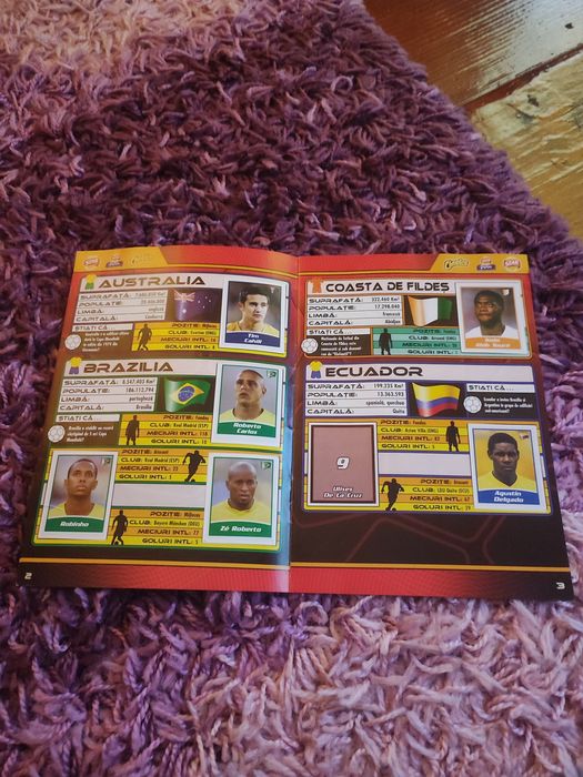 Starurile Fotbalului 2006