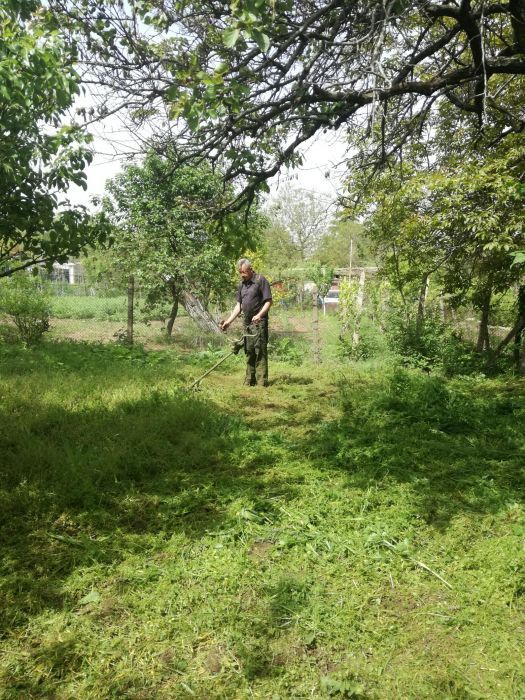 Почистване на дворове парцели,косене на трева.Рязане на дървета.