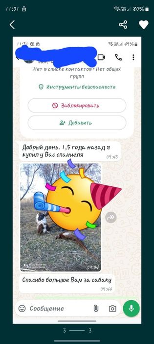 Русский спаниель