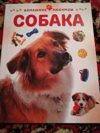 Книга по уходу собаки