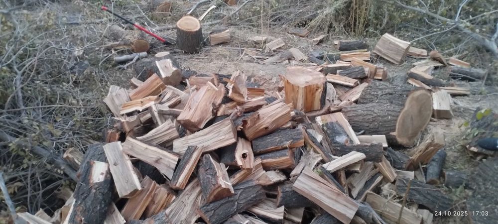 Дрова карагач колотые