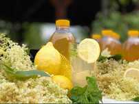 Sirop de soc -2024