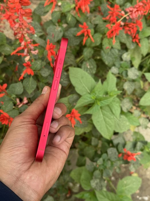 Iphone 14 256 radnoy bez ime aybi
