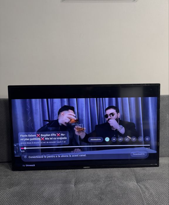 Televizor Horizon Smart TV 100cm