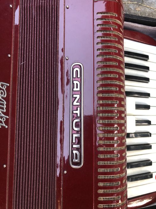 Acordeon Cantulia Bambi