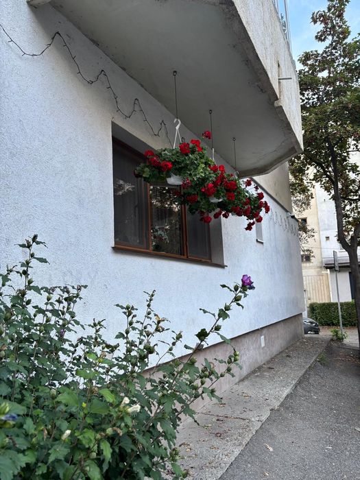 Apartament 3 camere decomandat parter înalt