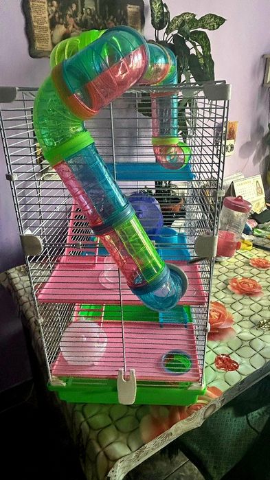 Vand cusca pt hamsteri