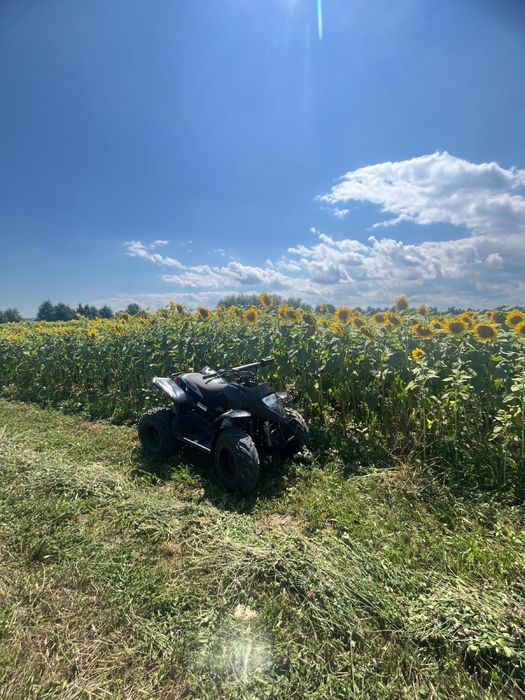 Vand atv 110cc 2 timpi