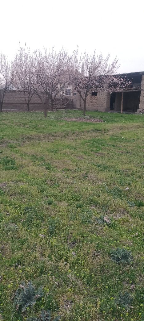 Pust oy Yer 6 sotik