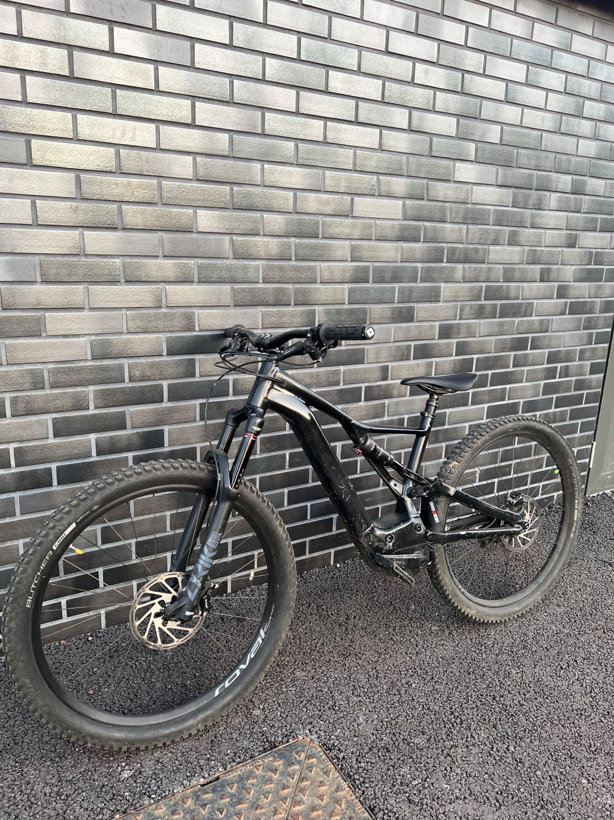 Specialized Turbo Levo 29 L