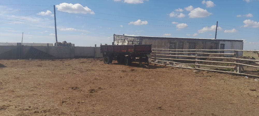 Продам птс 6 самосвал