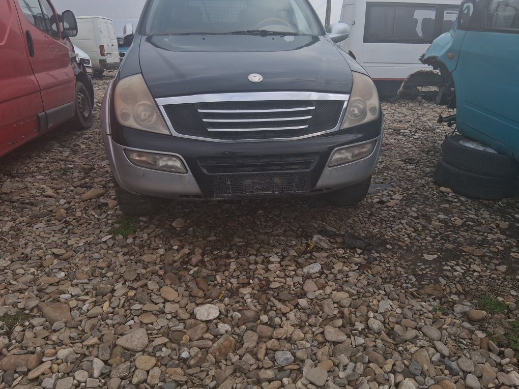 Rexton sanghiong pentru dezmembrat