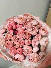 Продам цветы розовые пионы