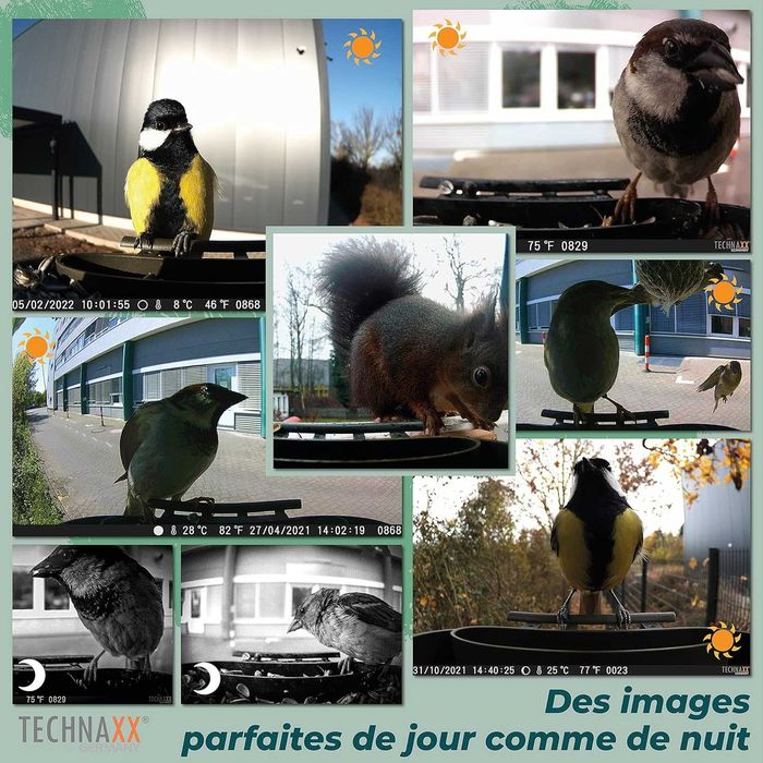 Cameră supraveghere vânătoare observare animale salbatice pasari