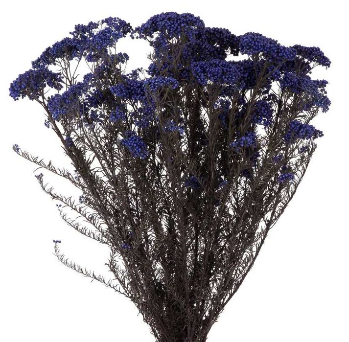 Foliaje Stabilizate – Naturale, Decorative și de Lungă Durată