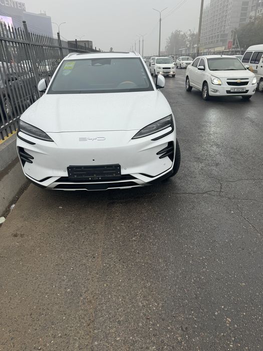 Byd chempion sotiladi 31.500