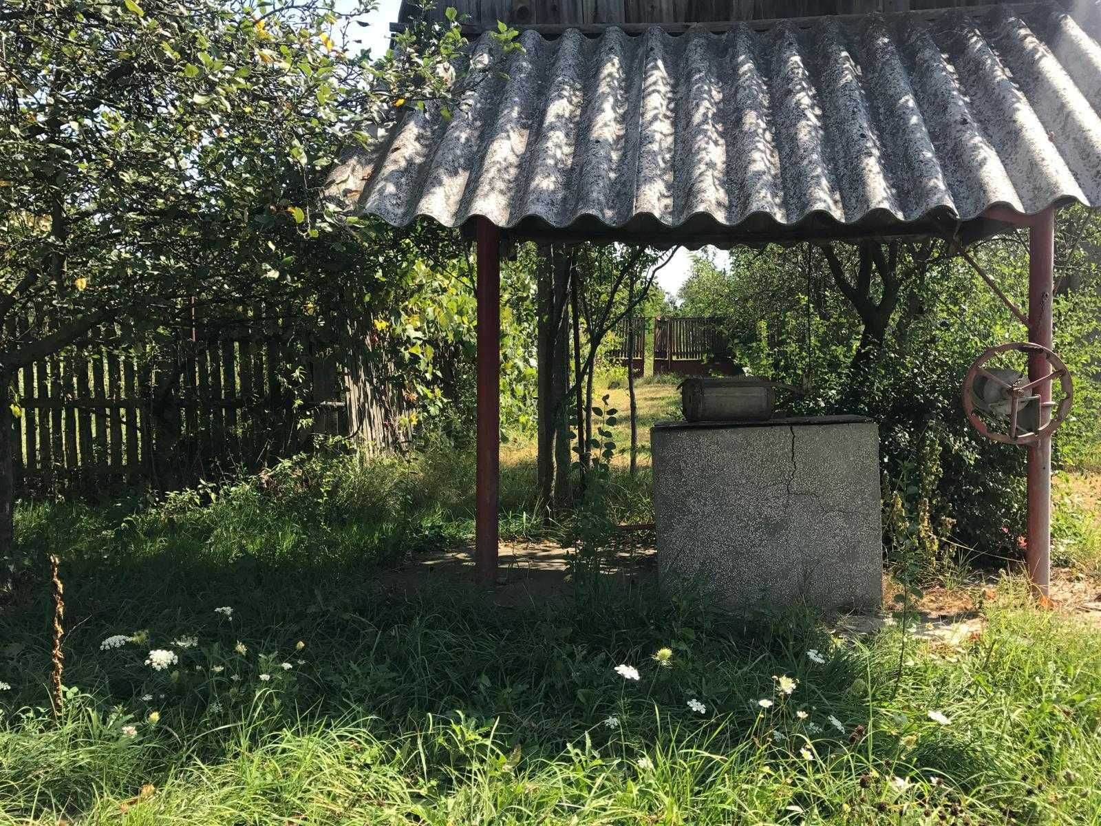 Teren 5600 mp - Paduroiu, Poiana Lacului