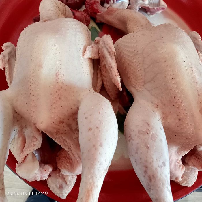 Продам домашних бролеров