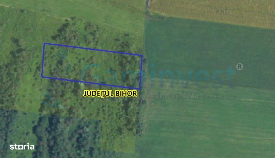 Gaminvest Teren intravilan pe Valea Finisului, Bihor V3745