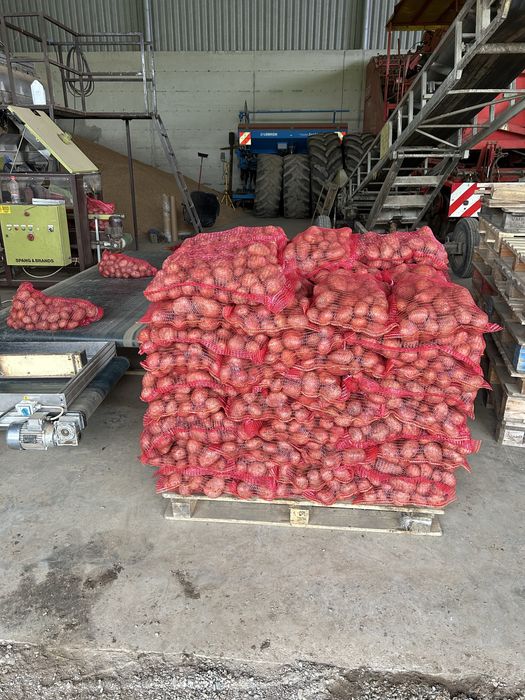 cartofi roșii și albi