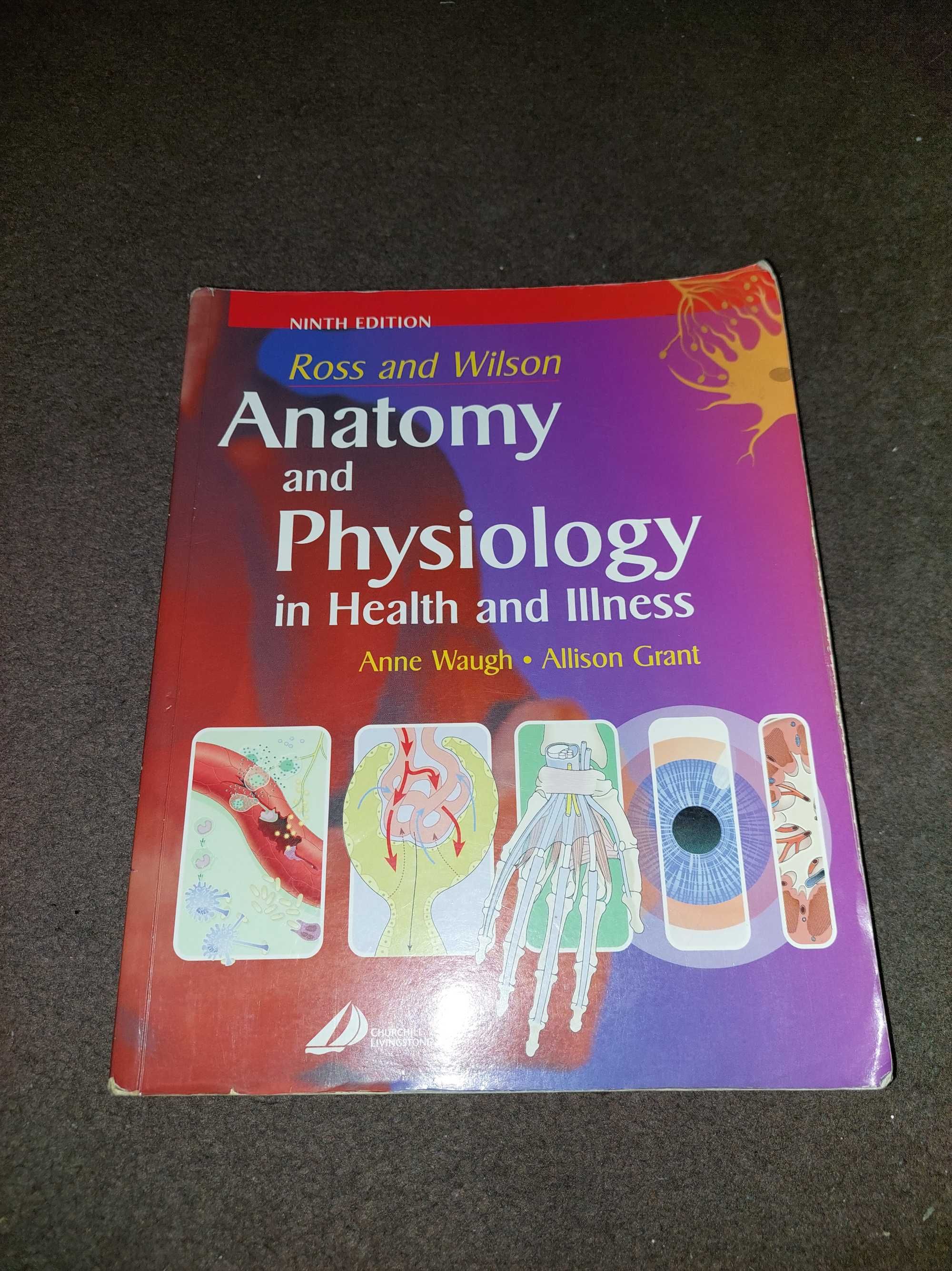 Anatomy and physiology